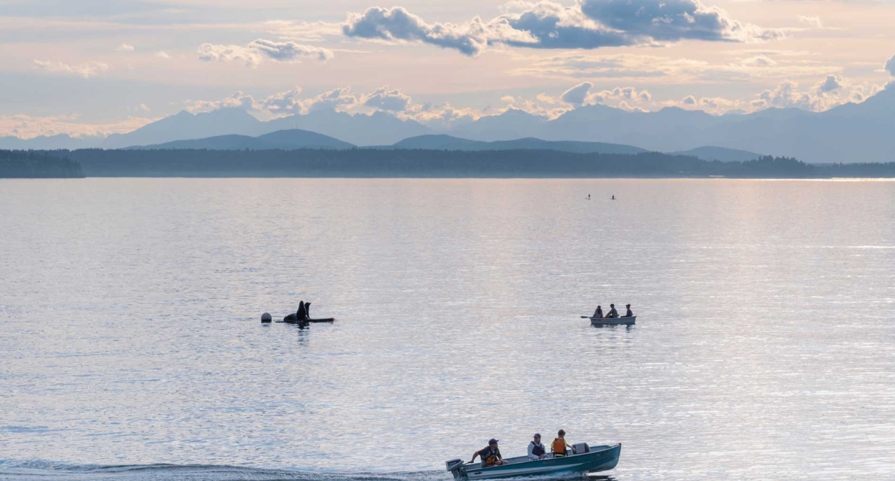 Lake Days and Easy Living on Winnipesaukee