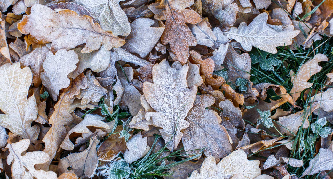 First Frost over Winnipesaukee