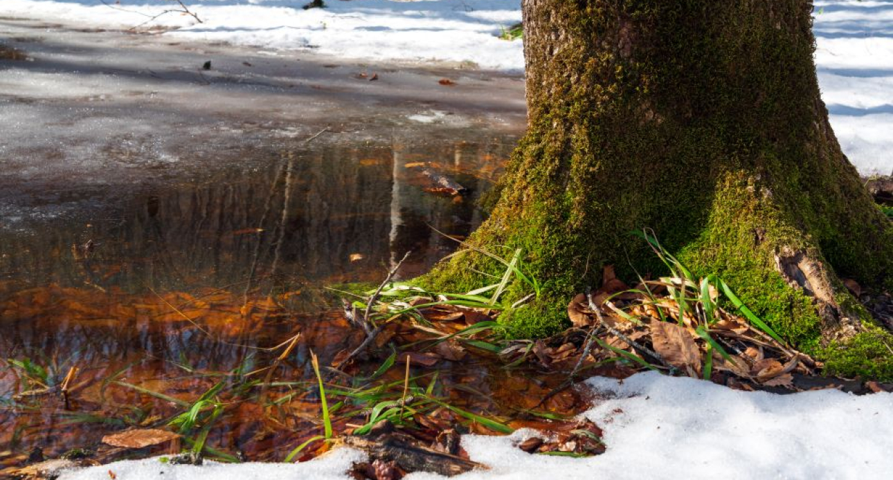 Winter’s Last Stand: Signs Spring is Near at Lake Winnipesaukee