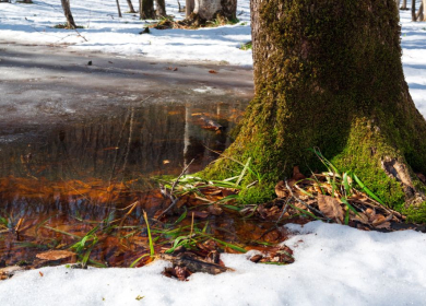 Winter’s Last Stand: Signs Spring is Near at Lake Winnipesaukee